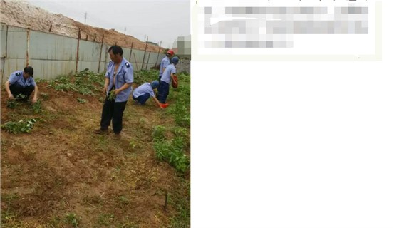 钢模板8 钢模板8