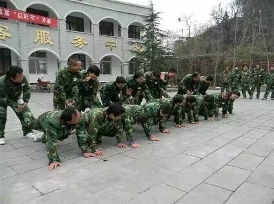 图片1 图片1
