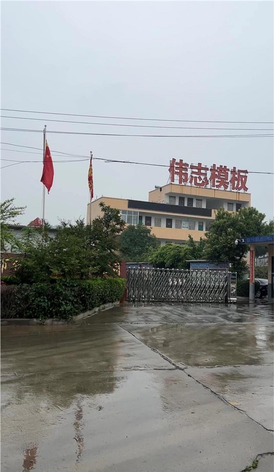 雨中伟志 雨中伟志