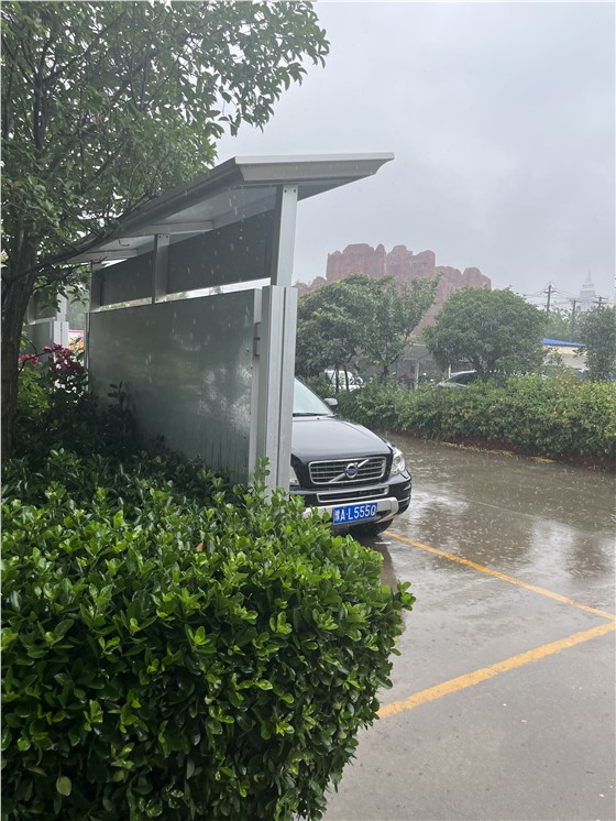 雨中伟志 雨中伟志