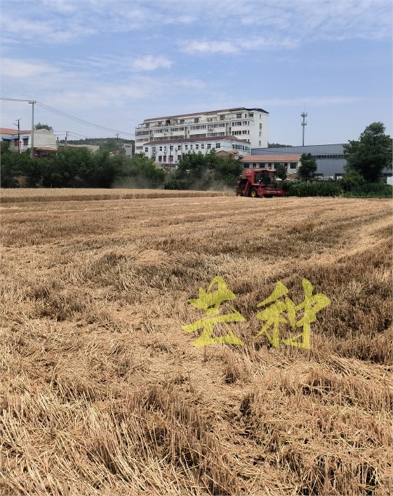 微信图片_20240605100014 微信图片_20240605100014