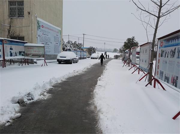 伟志模板 伟志模板