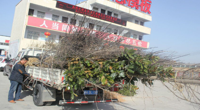 河南伟志钢模板厂家-------只待花开树盛 河南伟志钢模板厂家-------只待花开树盛