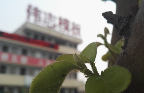 QQ截图20160602090746 QQ截图20160602090746