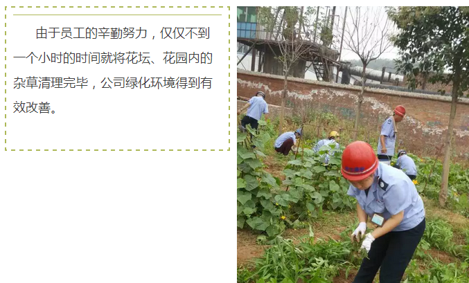 钢模板9 钢模板9