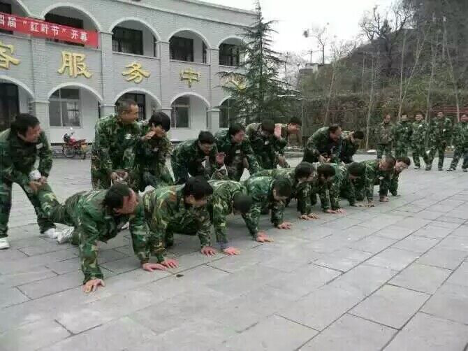 图片1 图片1