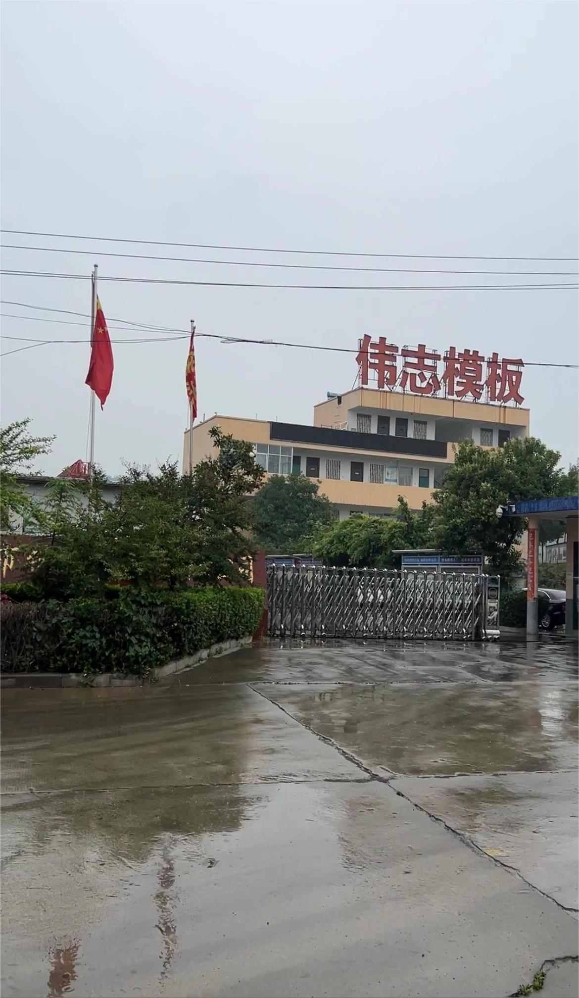 雨中伟志 雨中伟志