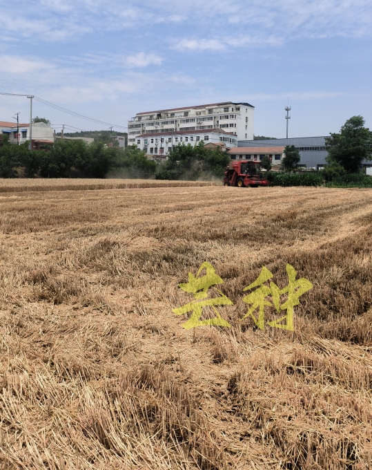 微信图片_20240605100014 微信图片_20240605100014