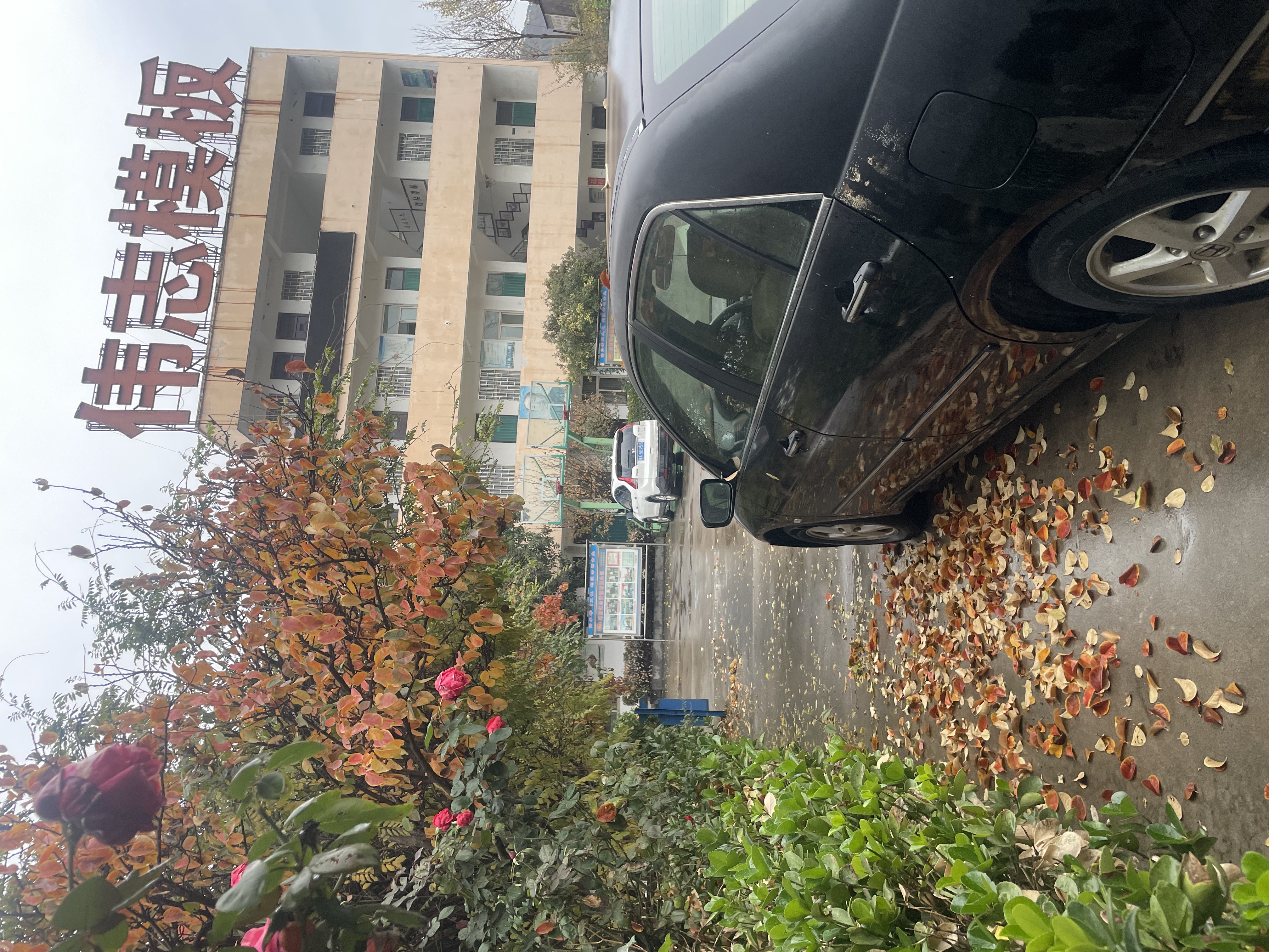伟志模板温馨提示:注意大风降温天气! 伟志模板温馨提示:注意大风降温天气!