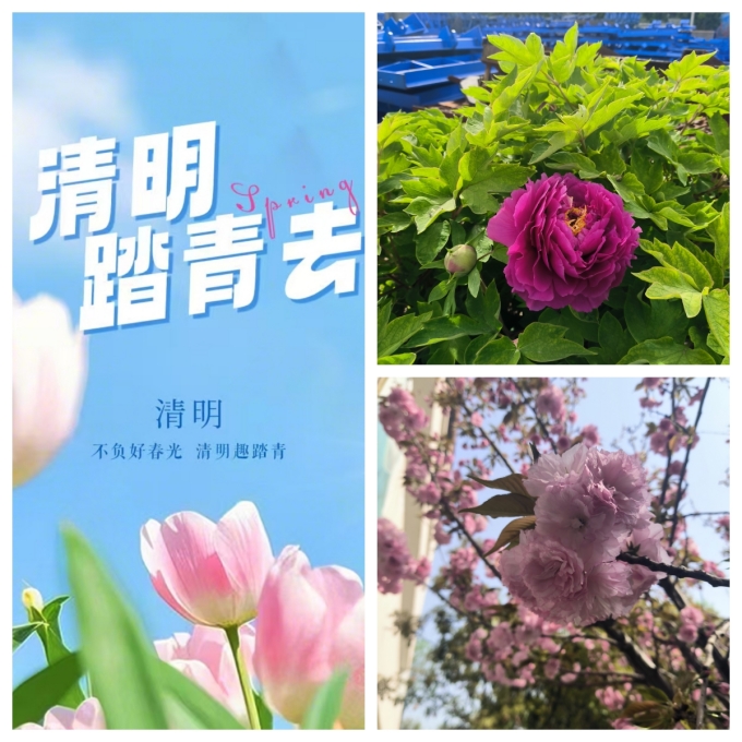 未命名 未命名